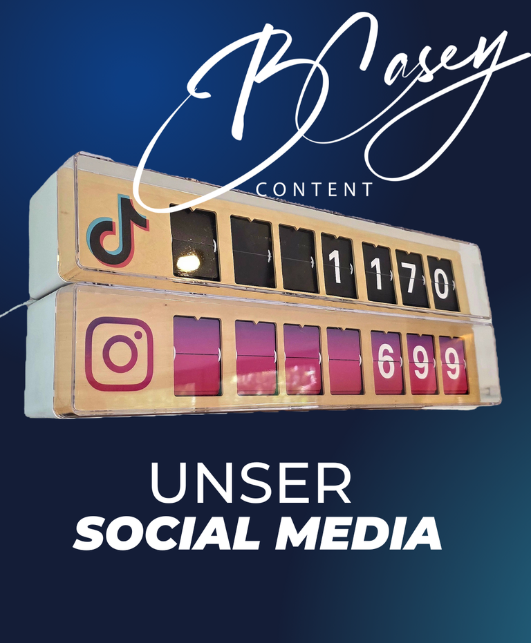 Smirrl Counter mit Instagram-Follower-Anzeige neben dem Logo von Fensterreinigung-professionell.de