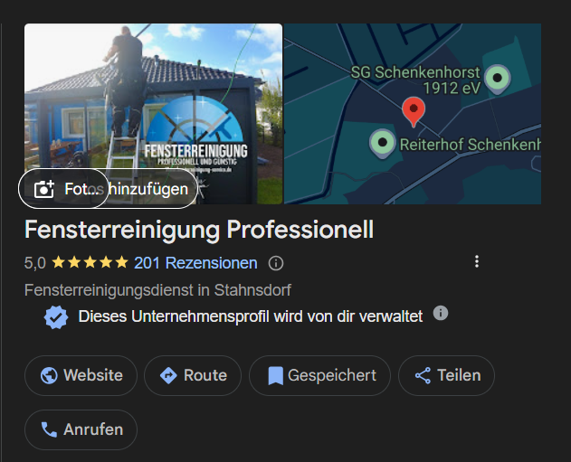 Google My Business Profil von Fensterreinigung Professionell mit über 100 Fünf-Sterne-Bewertungen