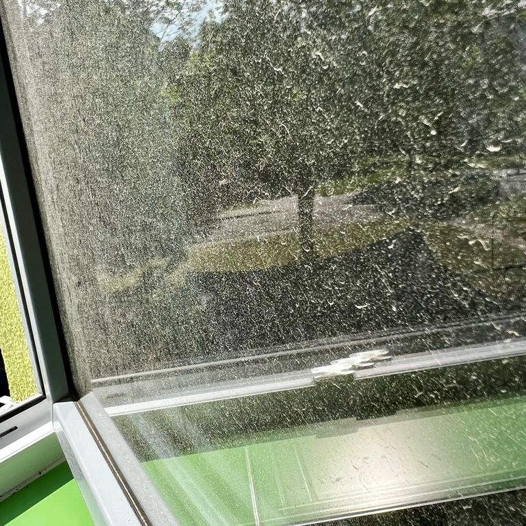 Stark verschmutztes Fenster vor der professionellen Reinigung, bereit für den Erstkontakt