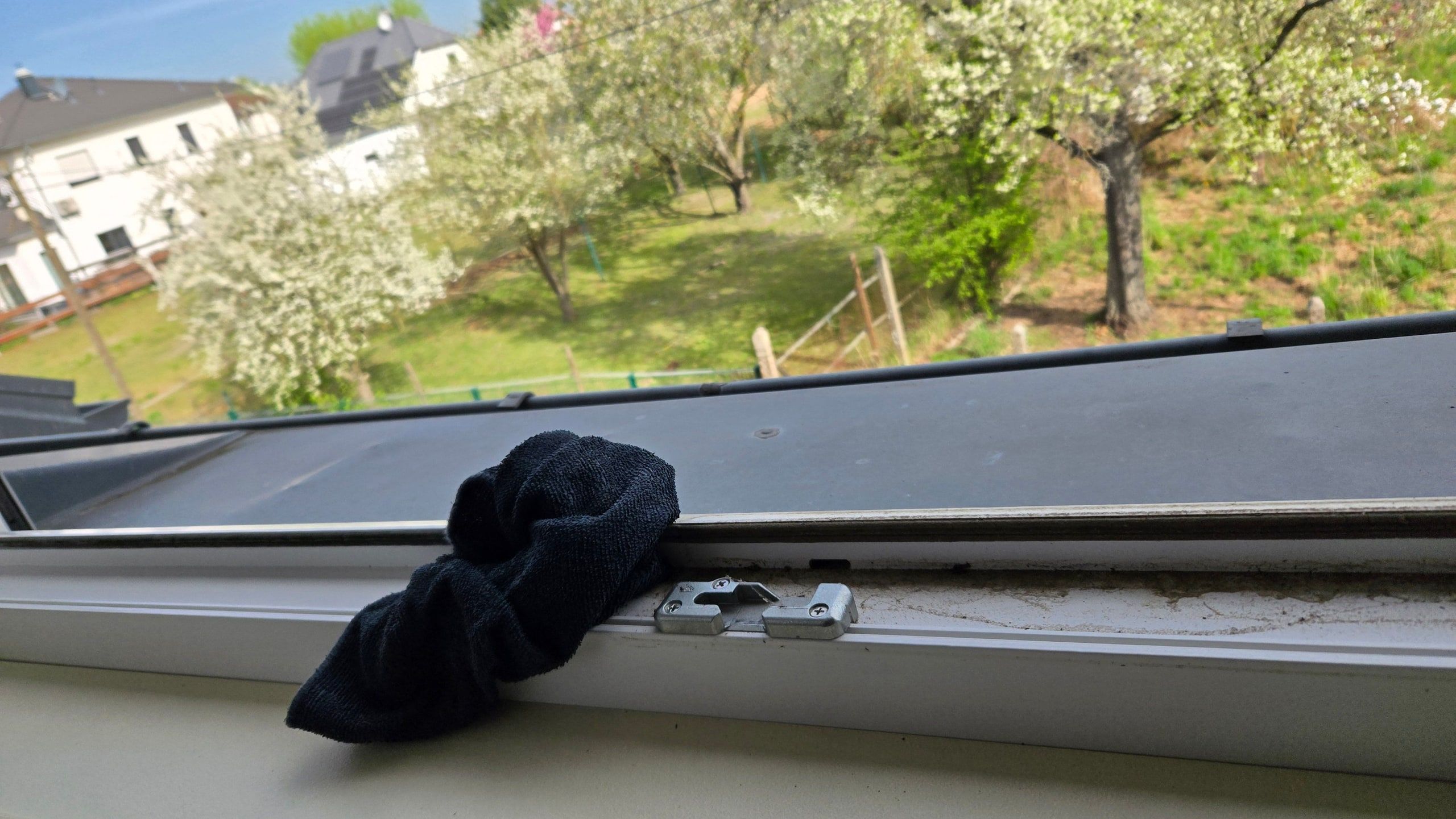 Innenreinigung eines Dachfensters mit Blick in einen blühenden Garten in Berlin
