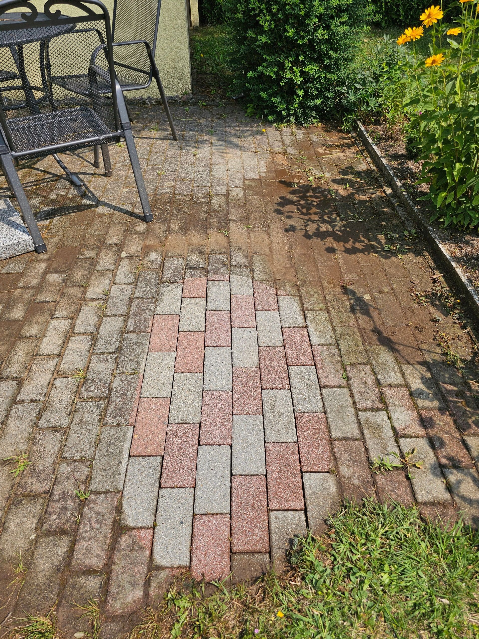 Kreisrunde Reinigungsprobe auf verschmutzten Terrassenplatten mit deutlicher Kante