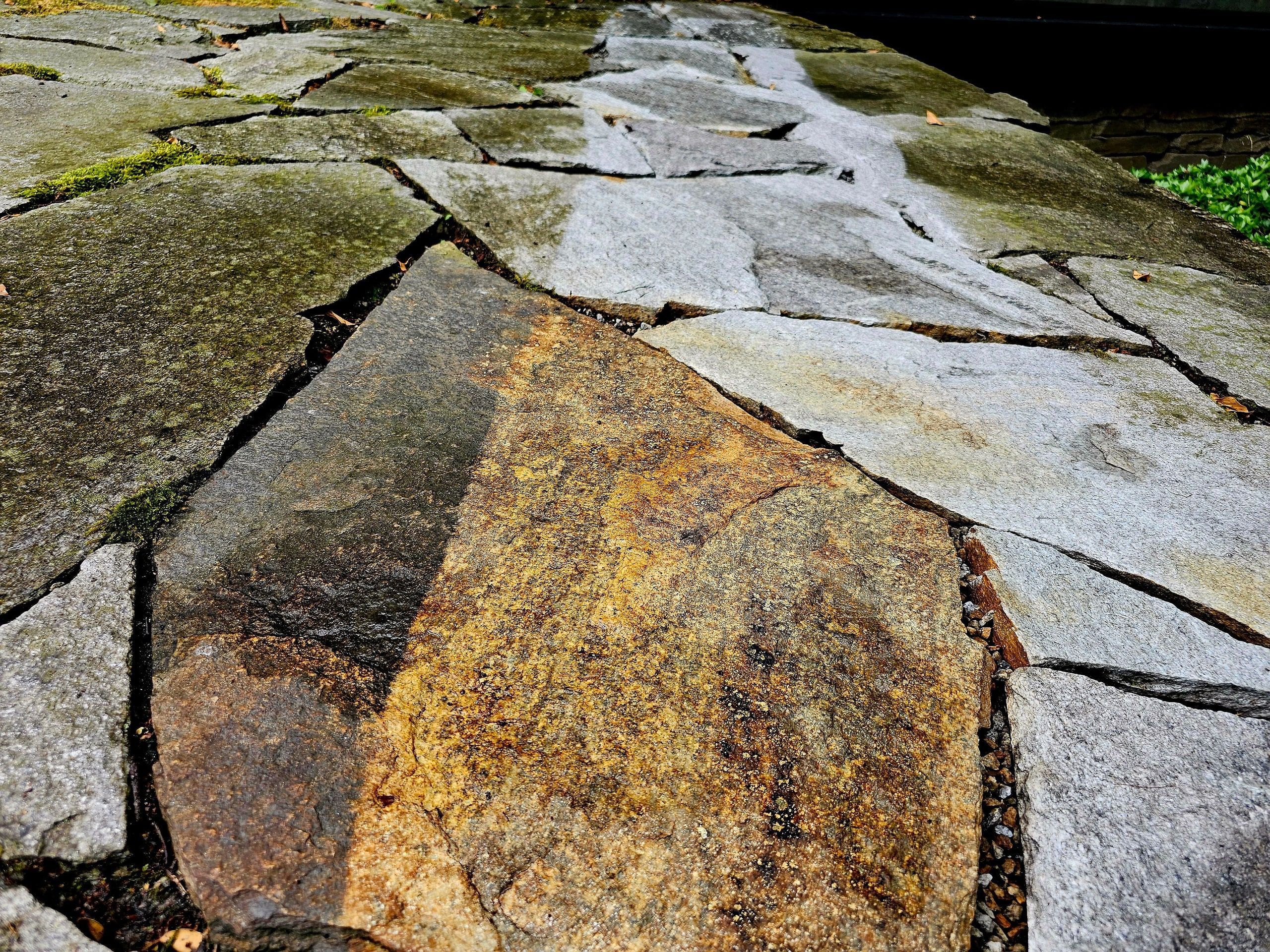 Natursteinplatten mit frisch gereinigter Bahn neben der vermoosten Fläche