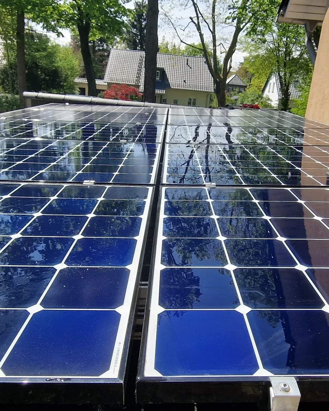 Glänzend gereinigte Photovoltaik-Module mit Spiegelung von Bäumen und Himmel