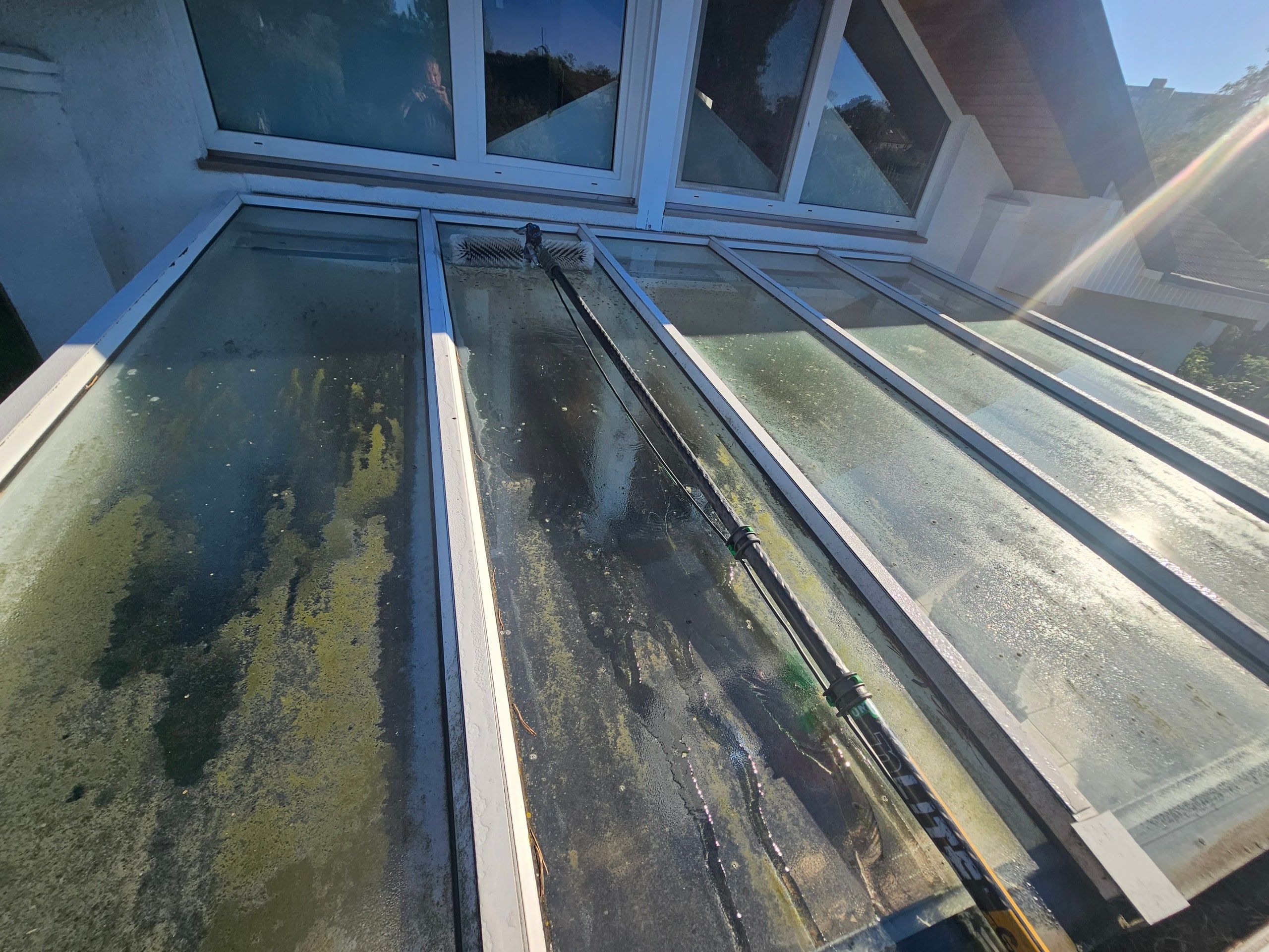 Stark vergrüntes Glasdach einer Terrassenüberdachung vor der Reinigung