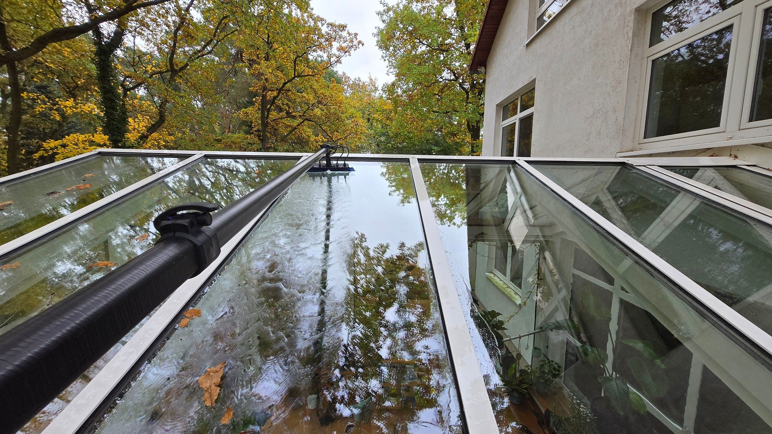 Weitwinkelblick über ein vergrüntes Glasdach im herbstlichen Waldgrundstück