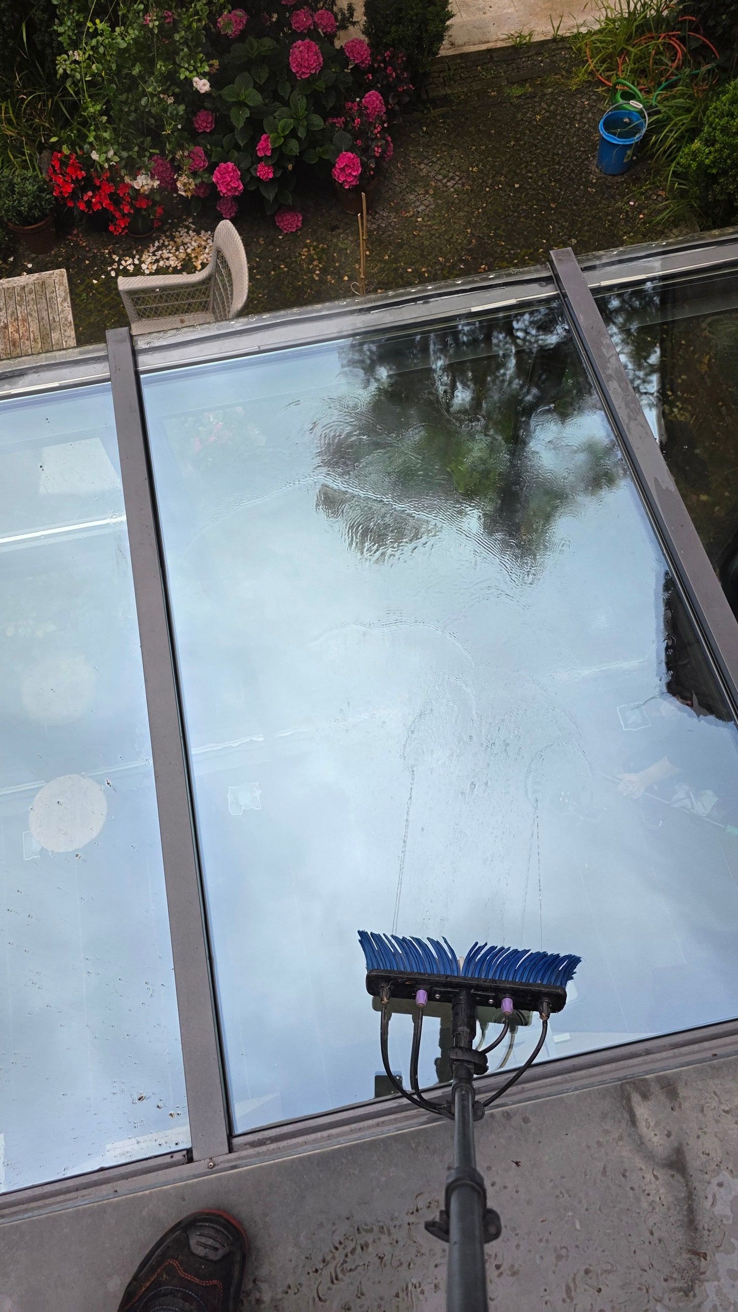 Gereinigte Glasdachfläche, in der sich Himmel und Bäume spiegeln