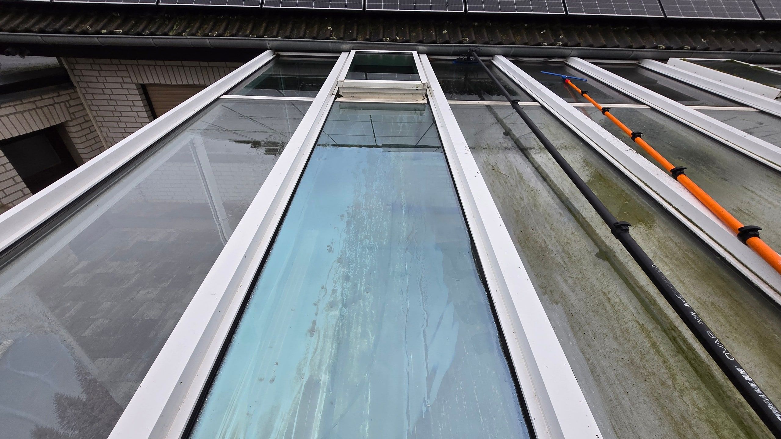 Zwei Glasfelder einer Terrassenüberdachung, links frisch gereinigt, rechts noch vergrünt