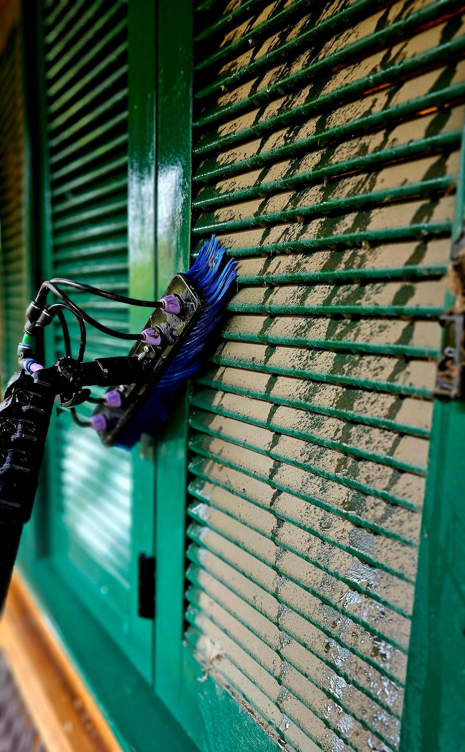 Bürste reinigt die Lamellen eines grünen Fensterladens aus der Nähe