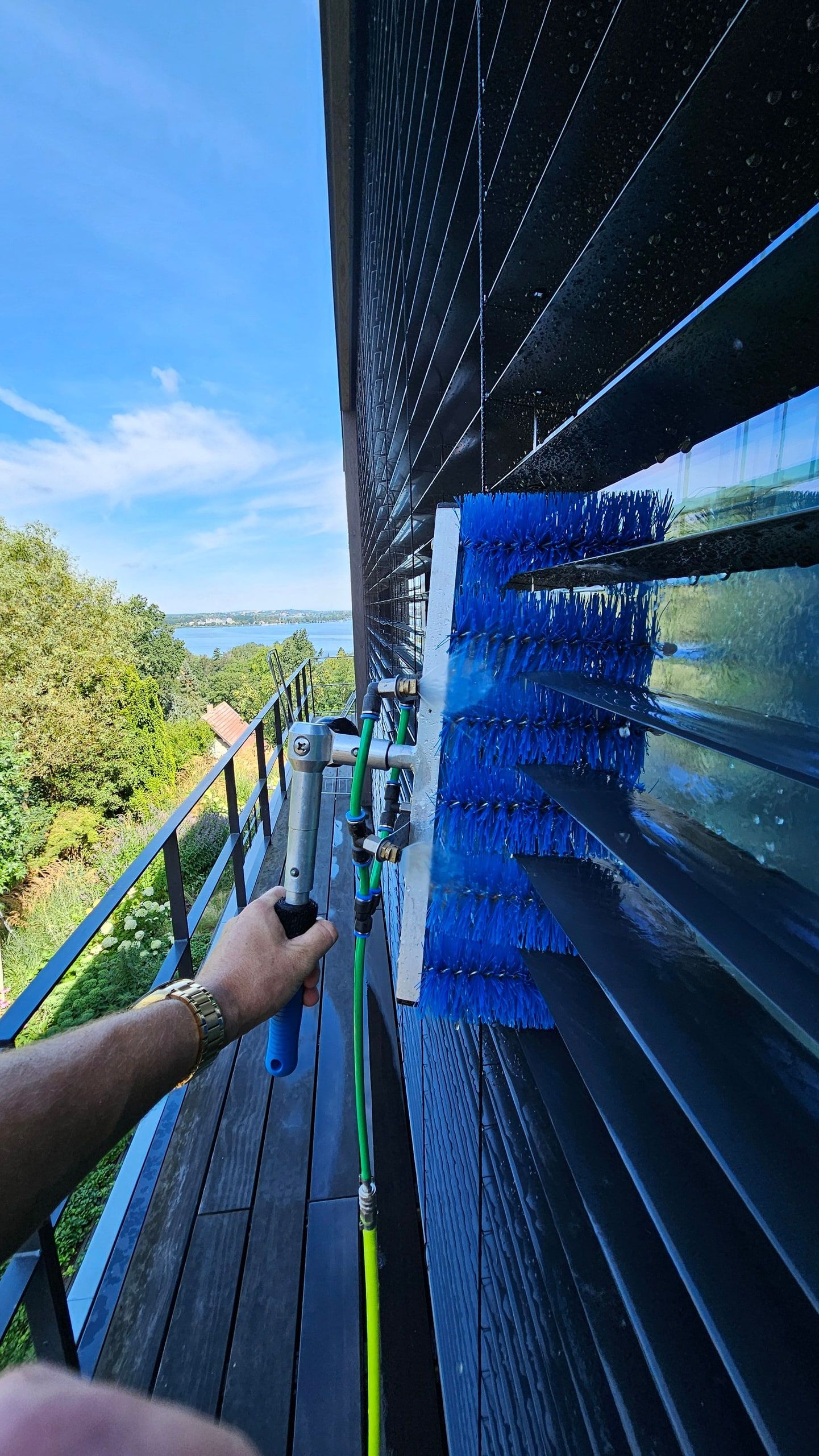 Blaue Reinwasserbürste reinigt eine senkrechte Solarmodulfläche mit Blick über den See