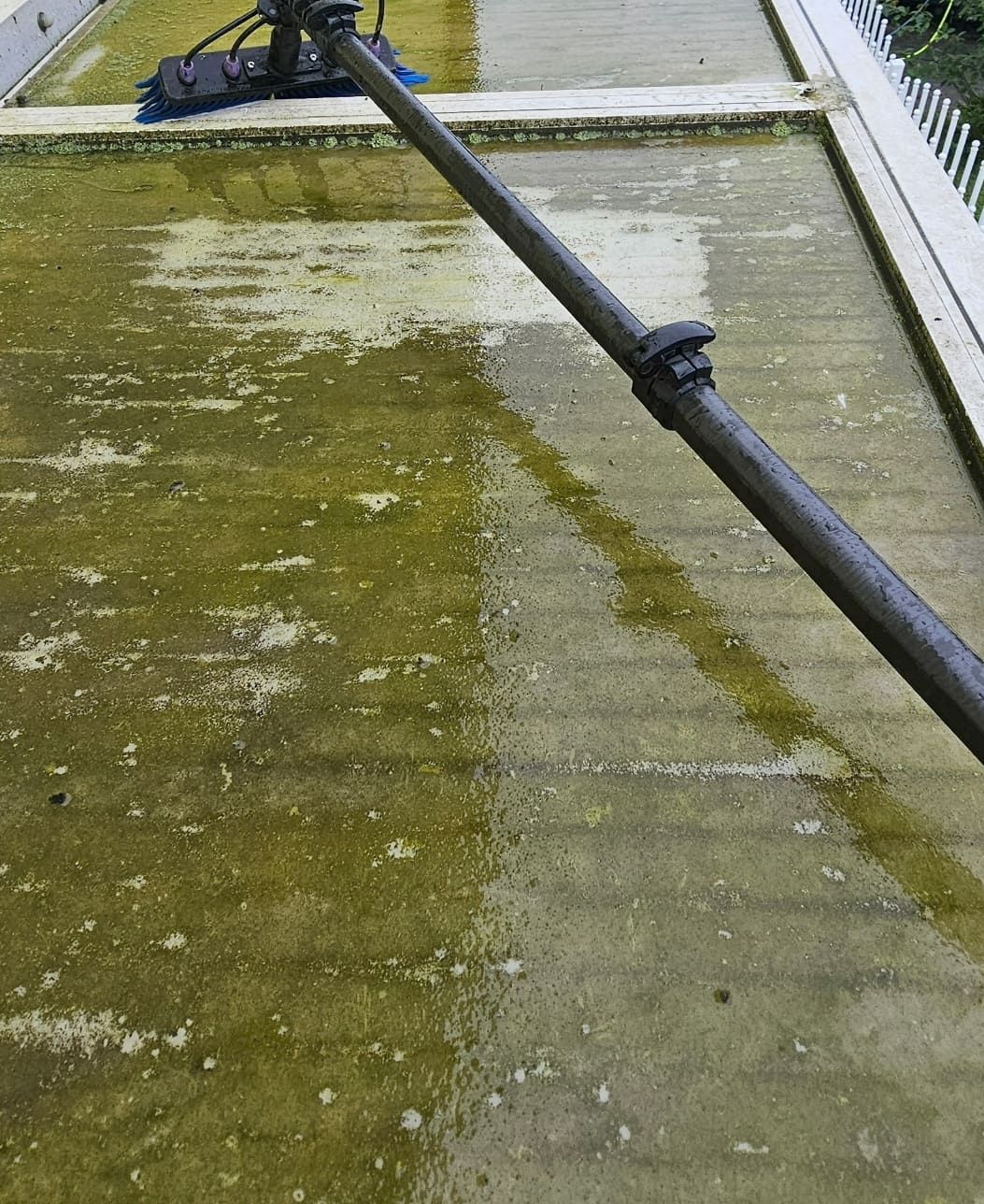Wellenförmiges Lichtplattendach einer Terrassenüberdachung vor der Reinigung: die Kunststoffbahnen sind flächendeckend grün veralgt und moosig, hell abgewaschene Streifen zeigen, wo die Reinwasserbürste bereits angesetzt hat