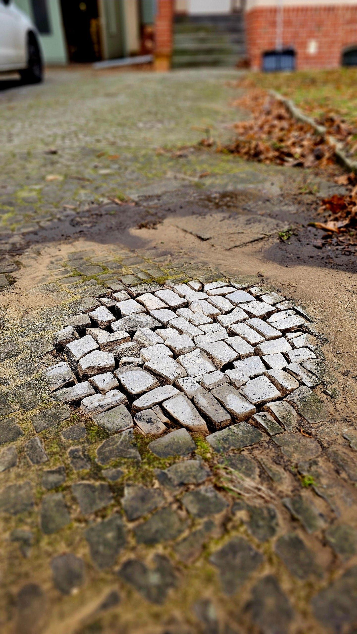 Hofeinfahrt aus altem Kleinpflaster während der Steinreinigung: ein quadratisches Feld ist frisch gereinigt und zeigt wieder die hellen Natursteine, während das Pflaster ringsum grün verschmutzt und vermoost bleibt